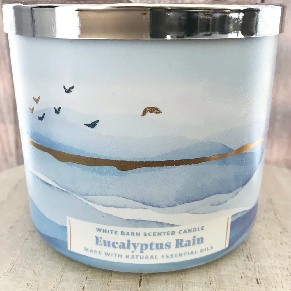 🆕40+ Hrs Eucalyptus Rain 3 Wick Candle - Picture 2 of 3